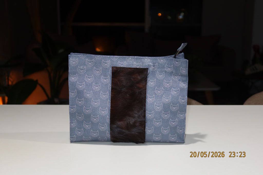 THE MONEY BAG
