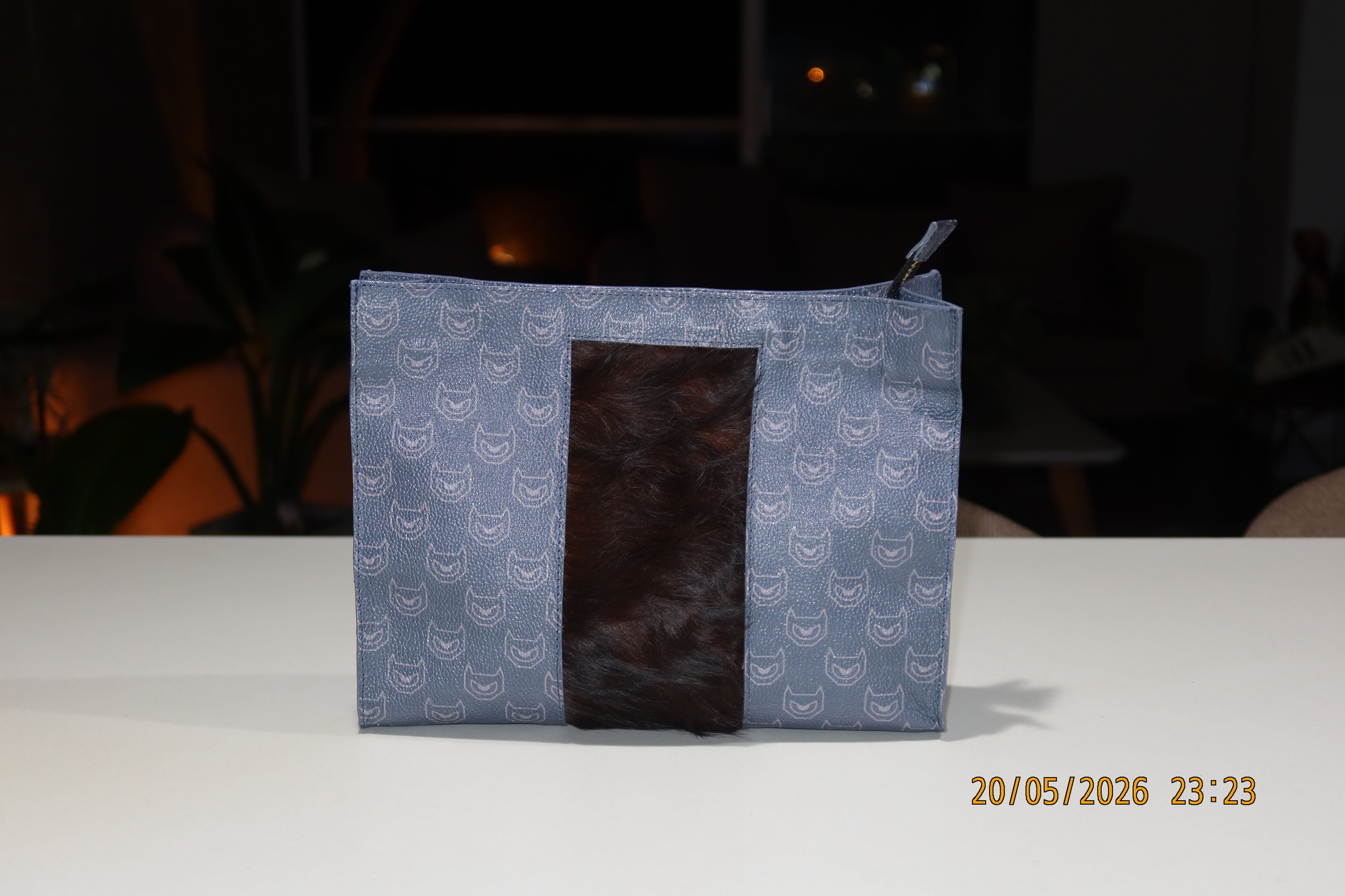 THE MONEY BAG