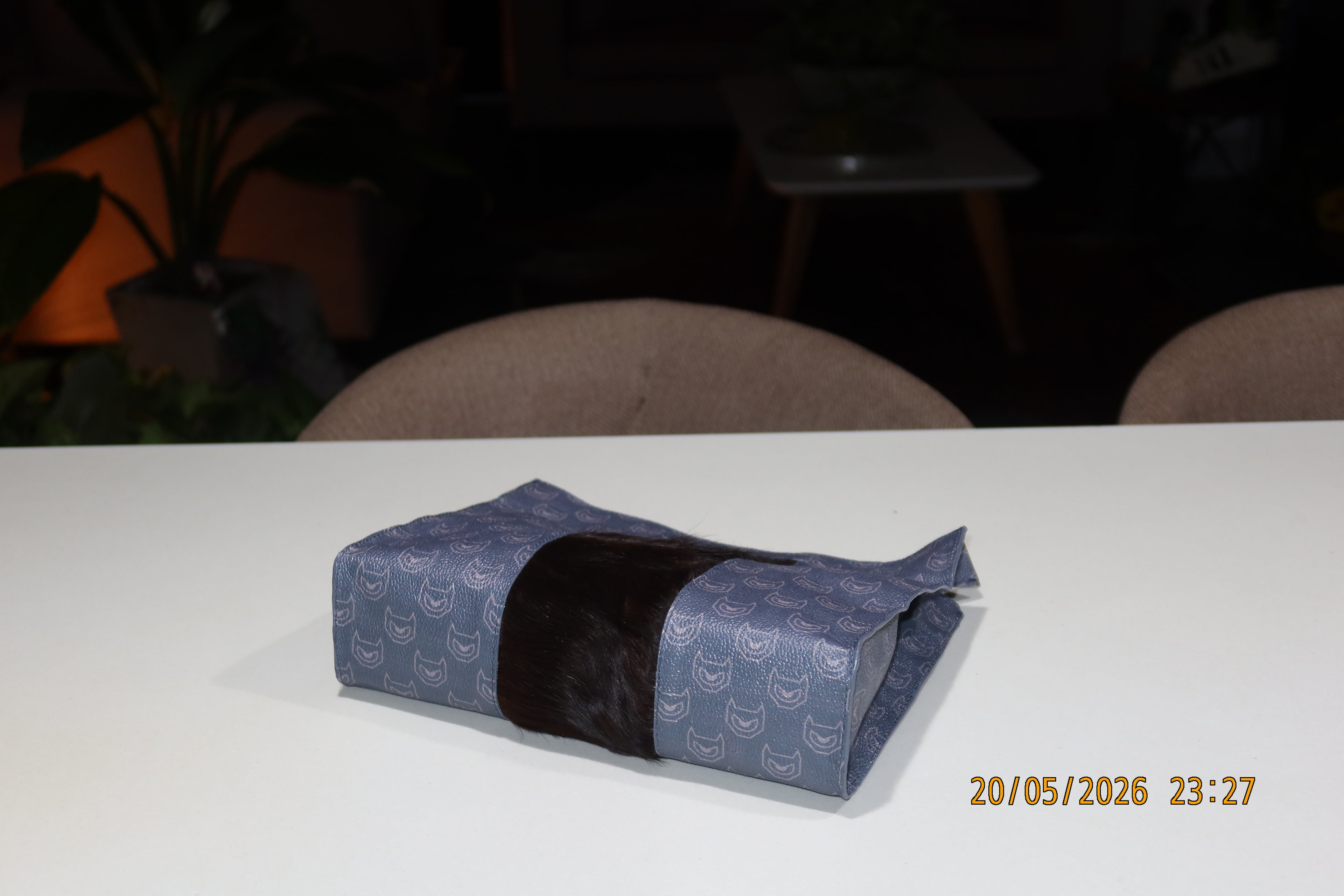 THE MONEY BAG
